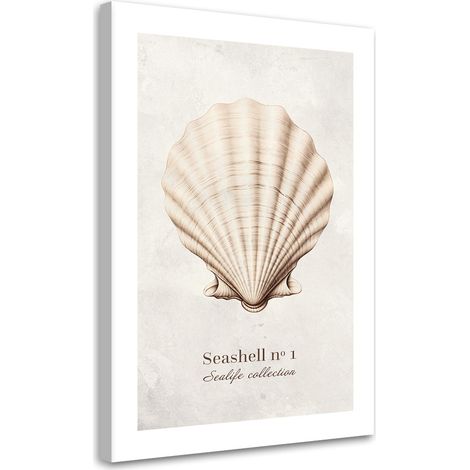 Tableau sur toile Coquillage naturel 40x60 (1/5)