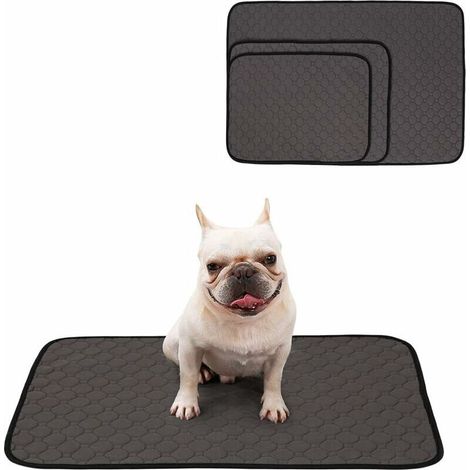 Tapis d'entraînement lavable pour chiot Tapis pour animaux de compagnie Couverture anti-dérapante réutilisable pour chien/chat/lapin (L, gris) (1/5)