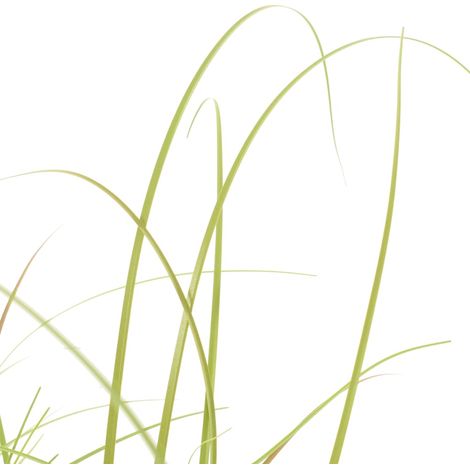 Maison Exclusive - Pianta Erba Artificiale 95 cm