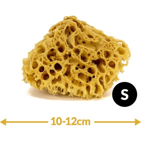 Éponge de bain - nature marine - taille S 10-12 cm (1/5)
