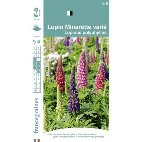 France Graines - Lupin Minarette Varié