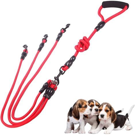 laisse 3 en 1 pour chien, réglable et détachable, nylon résistant, sans enchevêtrement, idéale pour marche, randonnée et camping (1/5)