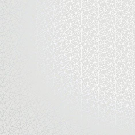 Holden Statement Grey Geometric Metallic Silver Modern Embossed Vinyl Wallpaper (1/3)
