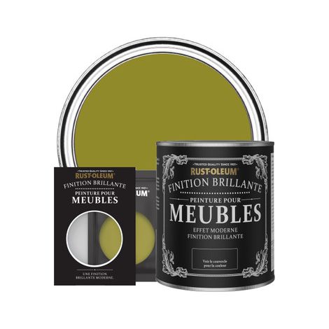 Peinture pour Meubles Brillante - Olive marinée (1/3)