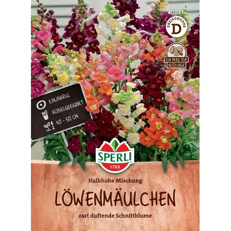 Sperli – Muflier mi-haut en mélange – Graines de fleurs, hauteur env. 40-50 cm (1/2)