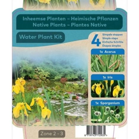 Kit de 3 plantes aquatiques purifiantes de bassin