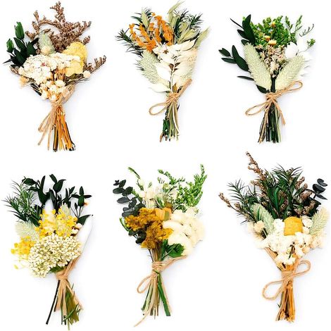 6 Pcs Paquets Bouquets Naturelle Fleurs Séchées Mini Vraies Fleurs Séchée L'artisanat Décoration D'herbe Pampa Fleur Bouquets Fleurs Séchées Petite Gypsophile Fleur Séchée Vert Mariage DIY pour Maison (1/5)