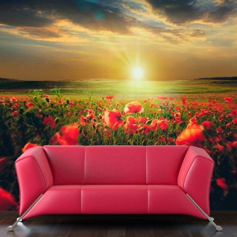 Papier peint matin sur la prairie de coquelicots - 350 x 270 cm (1/4)