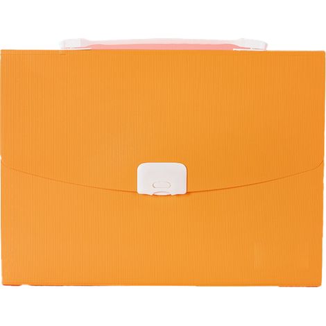 Organizador de documentos expandible, material impermeable, con un bolsillo etiquetado para un fácil acceso, cierre con cordón elástico, tamaño carta, adecuado para uso escolar y de oficina.