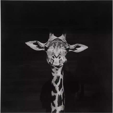Cuadro en blanco y negro sobre cristal de 80x80 cm - Jirafa