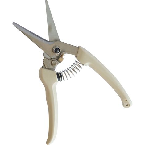 Sécateur BW-B0404 à manche blanc ivoire, acier inoxydable tranchant, à ressort, outil de taille facilitant le travail pour l'élevage et le jardinage (1/4)