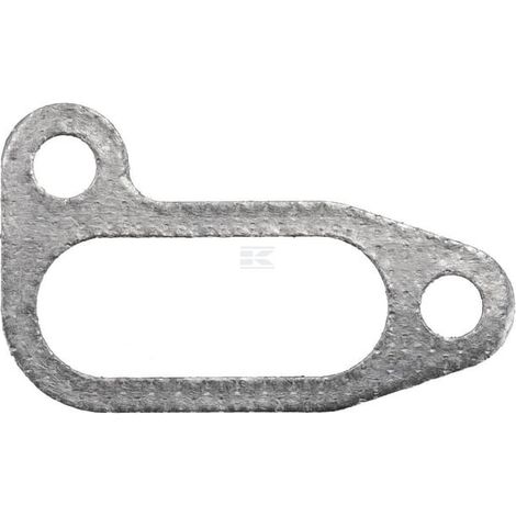 Dichtung ED0044200190S LOMBARDINI ED0044200190S