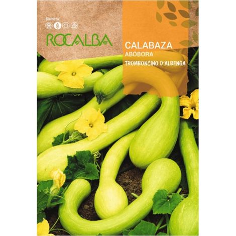 Rokalba Seed Pumpkin KÐ©rbis d'Abenga 100g