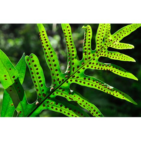 Papier peint panoramique feuille 3D vert & noir Tapisserie panoramique tropicale feuille pour couloir Papier peint panoramique salle de bain (1/2)