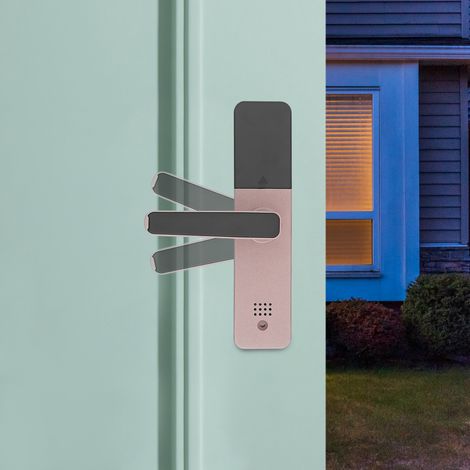 Intelligentes Türschloss, Fingerabdruck-Türschloss, Smart Lock mit Griffen