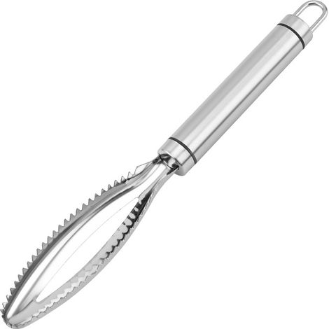 2 pièces en acier inoxydable rabot manuel grattage échelle de poisson rabot détartreur gadgets de cuisine en dents de scie (1/5)