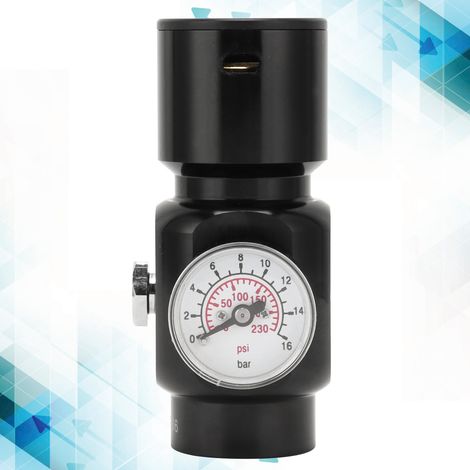 Mini régulateur de dioxyde de carbone en acier inoxydable, régulateur portable pour fût de bière à domicile (1/5)