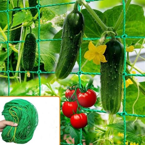 Garden Plant Trellis Netting, Vine Netting, Climbing Trellis with Plant Twist, Suitable for Vegetables, Clematis, Cucumbers, Grapes, Tomatoes (1/5)
