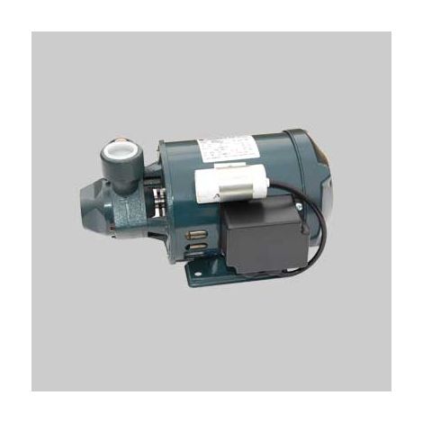 Elettropompa periferica mod. pm16