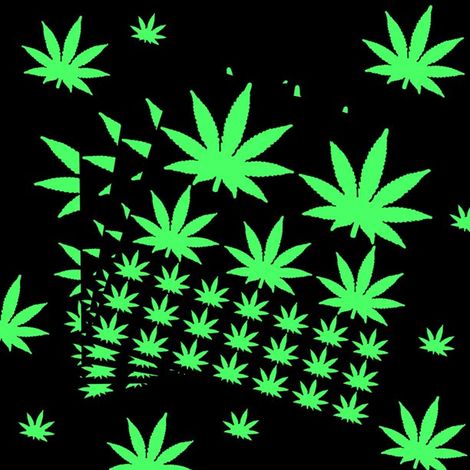 104 Pièces Autocollants Feuilles de Chanvre Phosphorescents Murs Décoratifs Luminoux Adhésifs Feuilles de Marijuana Décoration Maison Fête Anniversaire Mariage (1/5)