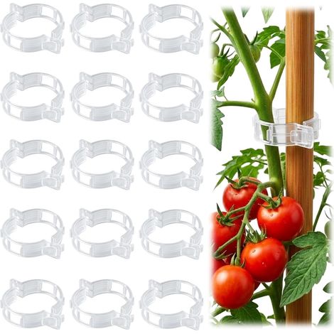 100 Tomatenclips für Kletterpflanzen – Pflanzenstützen aus Kunststoff – Wiederverwendbar für Tomaten, Weinreben und Gemüsepflanzen im Garten (1/5)