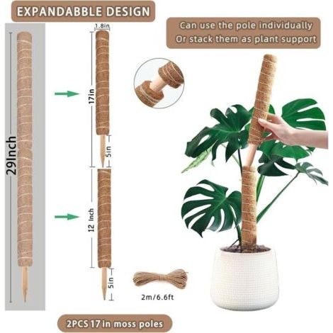 QORVA-Lot de 2 supports pour plantes grimpantes Monstera (40 cm) empilables en fibre de coco en pot vert colza velours vert fibre de coco