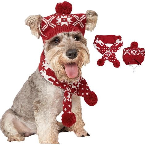 Filiyano-Chapeau et écharpe tricotée pour costume de Noël pour chien - Accessoires de déguisement mignons pour animaux de compagnie, vêtements d'hiver (1/4)