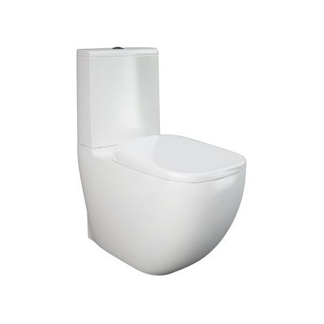 Vaso monoblocco a pavimento senza bordo (1/2)