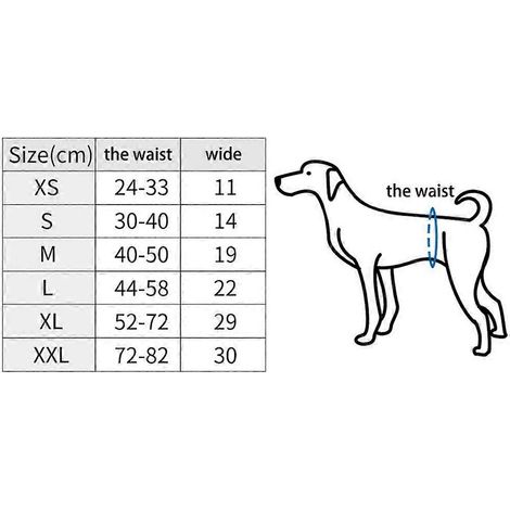 Couches physiologiques pour chien, culottes hygiéniques lavables pour chien mâle, sous-vêtements - XXL - Noir (1/4)
