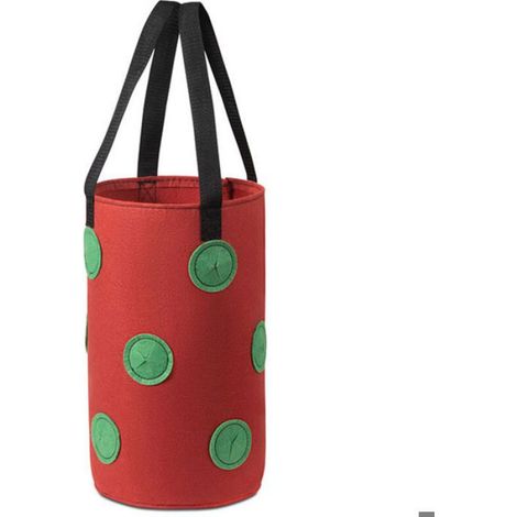Sac de Plantation - Tissu Non Tissé Respirant - 12 Trous de Culture - Pour Tomates et Fraises - 20 x 35 cm