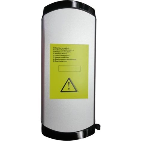 NX - Batterie vélo électrique Phylion Wall E Smart 37V 10Ah (1/4)