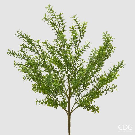EDG Enzo De Gasperi Pianta Artificiale Bosso Cespuglio H 57 Cm Verde – Pianta Decorativa Realistica Design Moderno