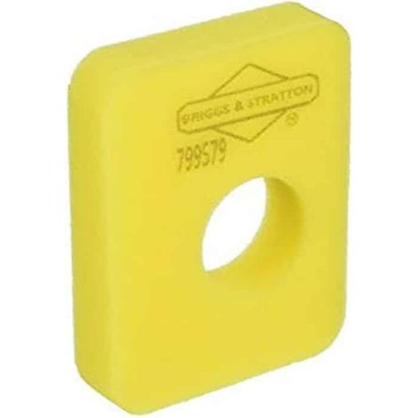 Briggs und Stratton Luftfilter 799579, 992375