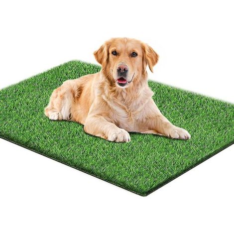 BelleRise - 80 x 100 cm - Tapis d'herbe Artificielle pour Chien - pour Toilettes réutilisables - Convient pour l'intérieur et l'extérieur (1/5)