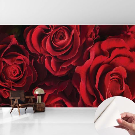 Carta da parati autoadesiva - fotomurale - decorazione parete - murale - adesivo da muro - Rose rosse 416x254 cm (1/5)