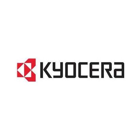 KYOCERA 1T0C0DANL0 cartucho de tóner 1 pieza(s) Original Amarillo (1/2)