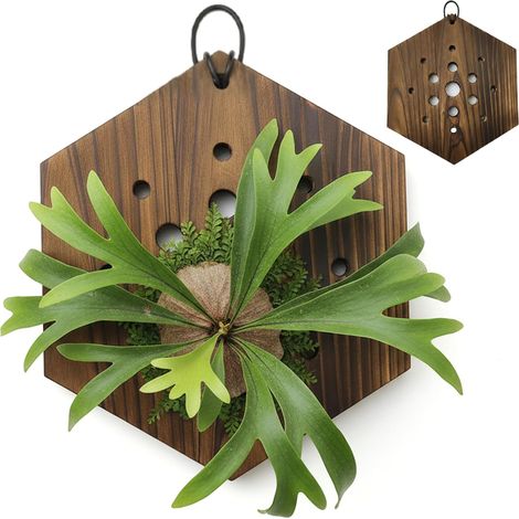 Support mural pour plantes, jardinière murale hexagonale en bois, facile à accrocher (1/5)