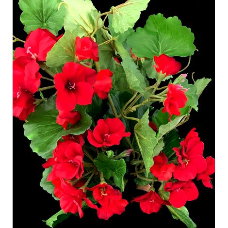 3 MAZZI ARTIFICIALI GERANI PER COMPOSIZIONI COLORE A SCELTA 40CM FIORI PIANTE