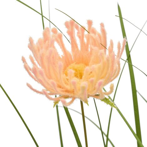 Mömax Grasbündel Blossom I Grün/Aprikose ca. 100cm (1/3)