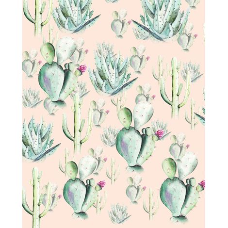 Papier peint panoramique naturel Cactus Rose (1/4)