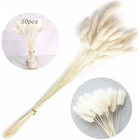 Pampas Grass - 50 Stems Dried Natural Decorative Grass - Indoor Home Office Wedding Decoration - Pack of 50 (1/5)