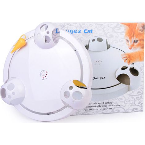 Cat Toys Circuit