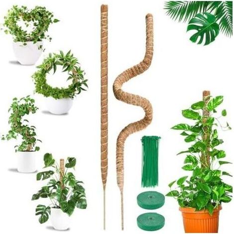 Tuteur Monstera Plante Grimpante 2 x 120cm, Pliable Support Coco pour sphaigne Qui Poussent vers Le Haut, Maison Jardin de avec Attaches - Pièces 120 cm (1/5)