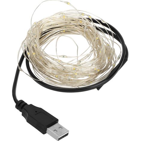 32,8 Fuß LED-Lichterkette Kupferdraht USB-Aufladung Dekorlampe für Halloween Home PartyWarm (1/5)