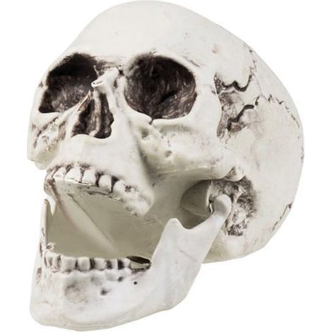 Décoration squelette 24 x 18 cm Halloween - 228368 (Taille Unique) (1/5)