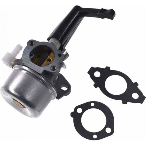 Carburatore motore 696065 con 2 guarnizioni e kit completo per macchine da giardino 110402/110412 (1/4)