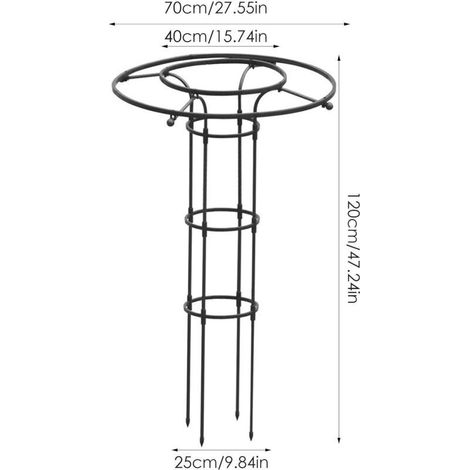 Tuteur métallique pour plantes grimpantes – Treillis parapluie en acier 120 cm – Support stable pour rosiers et clématites – Installation facile