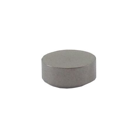 Capuchon de soupape BRIGGS ET STRATTON 691843