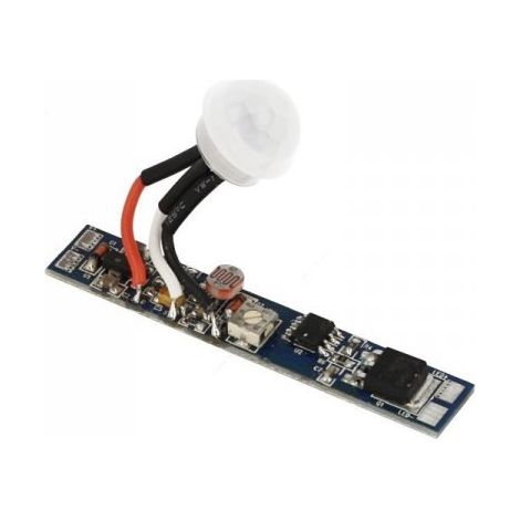 Sensore Di Movimento PIR + Light Sensore Crepuscolare 12V 24V 8A Regolabile (1/4)