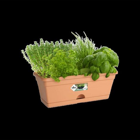 Fioriera basics trough mini 30cm Terra (1/5)